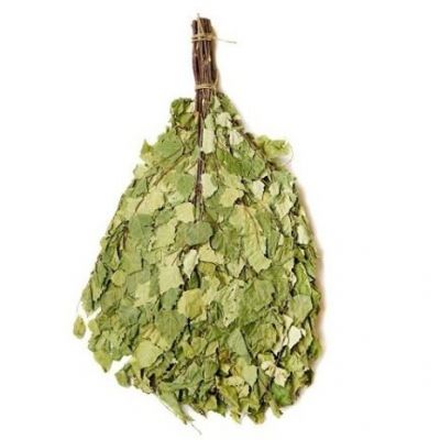 Beauty & Care Birke verzweigt Wald